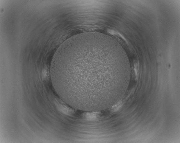 X0000071850134200606301347