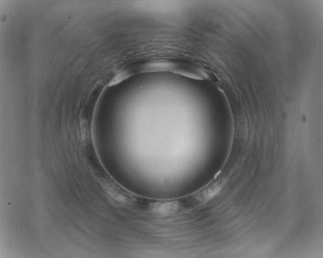 X0000071850135200606301346