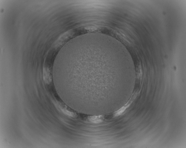 X0000071850136200606301346