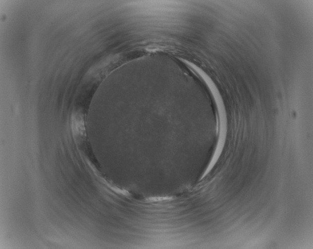 X0000071850137200606301346