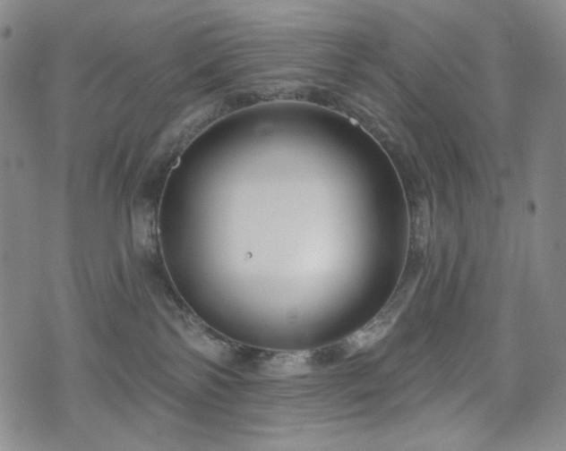 X0000071850138200606301346