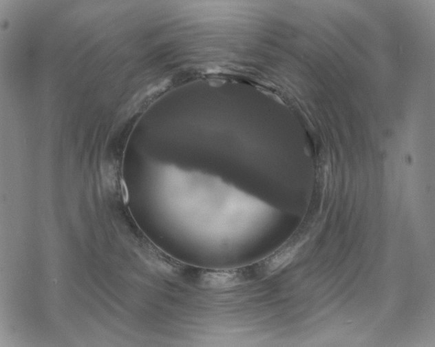 X0000071850139200606301346