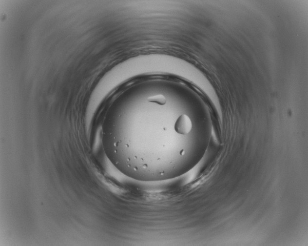 X0000071850141200606301346