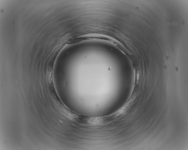 X0000071850142200606301346