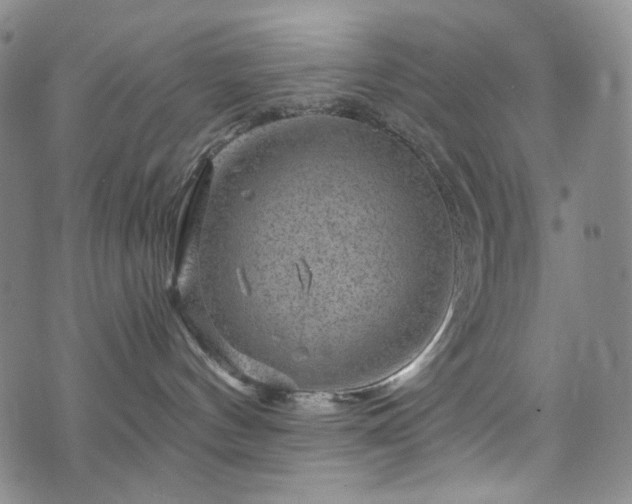 X0000071850144200606301346