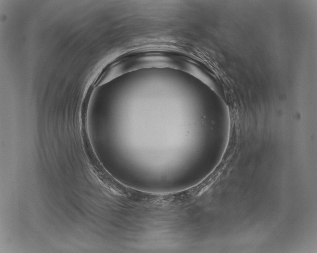 X0000071850148200606301346