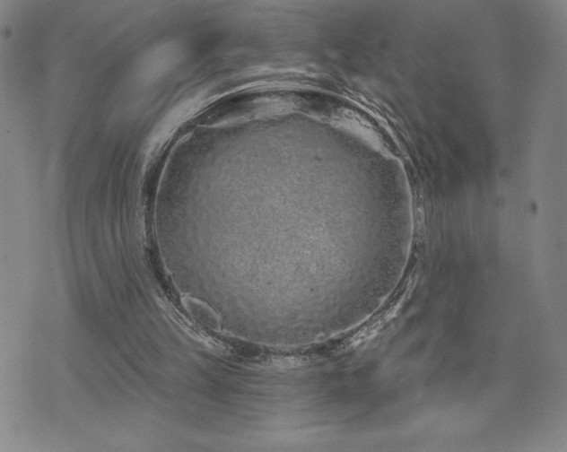 X0000071850149200606301346