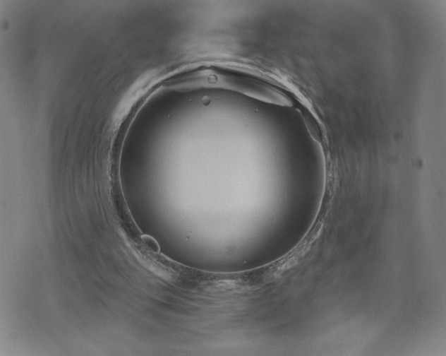 X0000071850151200606301346