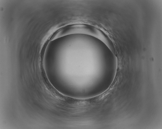 X0000071850152200606301346