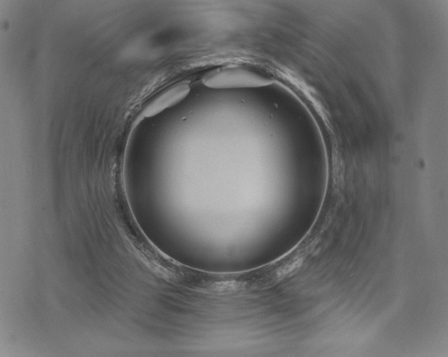 X0000071850153200606301346