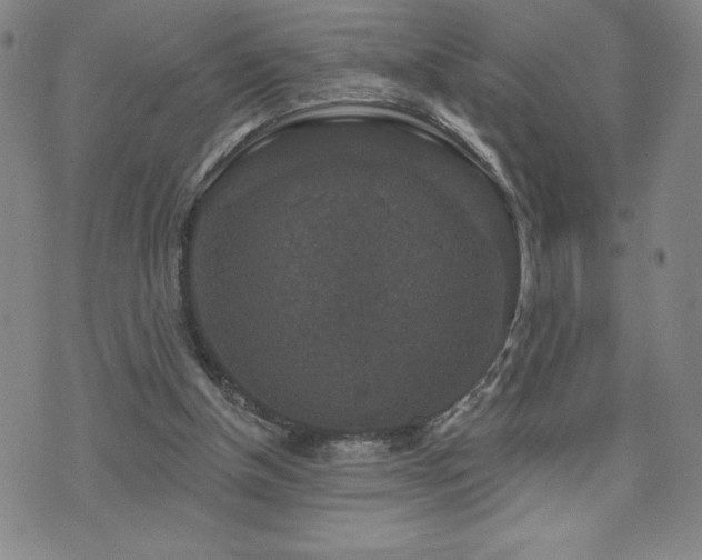 X0000071850154200606301346