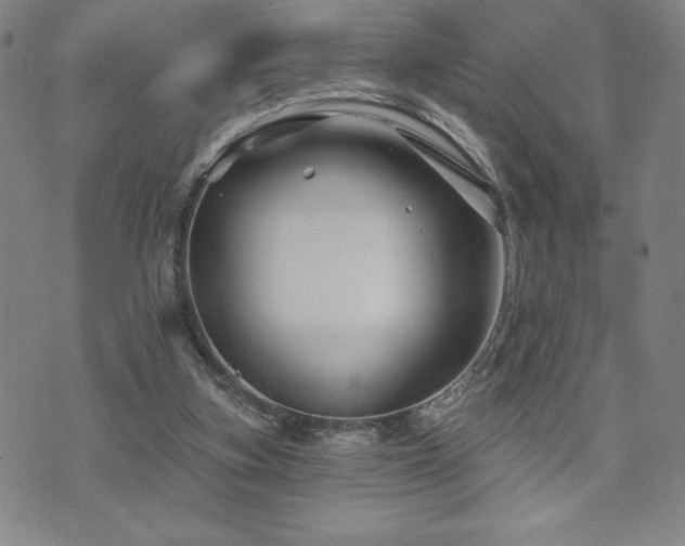 X0000071850155200606301346