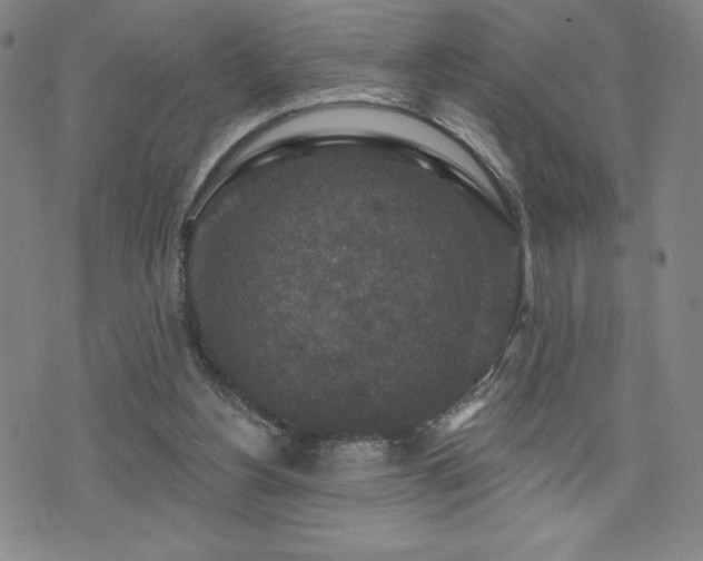 X0000071850156200606301346