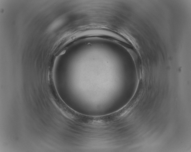 X0000071850157200606301346