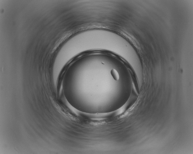 X0000071850158200606301346