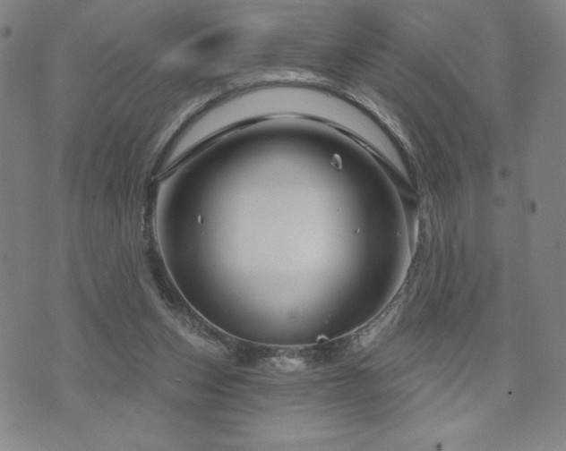 X0000071850159200606301346