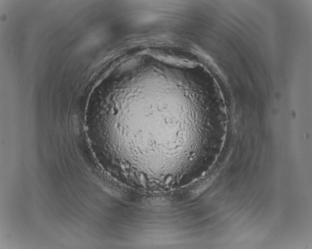 X0000071850161200606301346