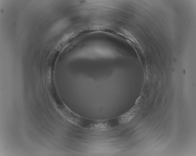 X0000071850163200606301346