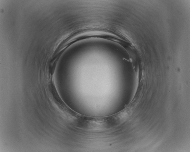 X0000071850164200606301346