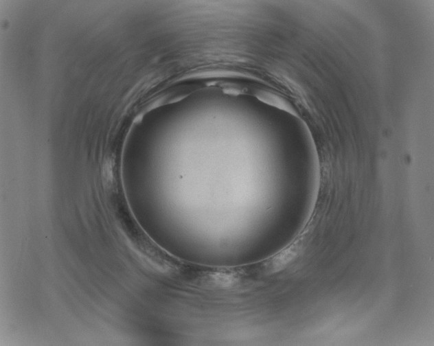 X0000071850166200606301346