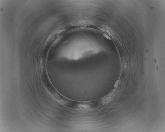 X0000071850167200606301346