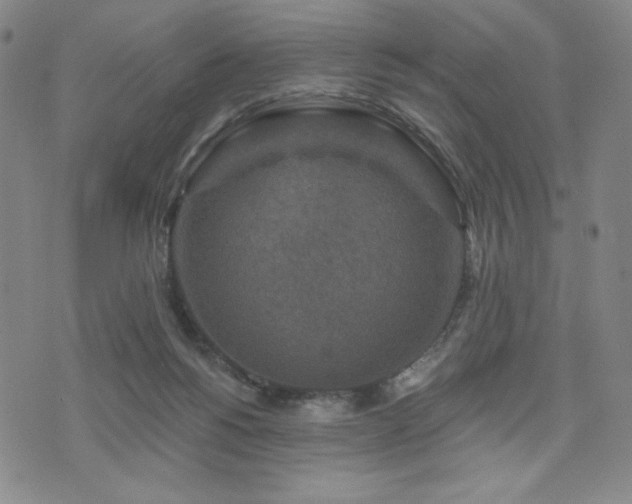 X0000071850168200606301346