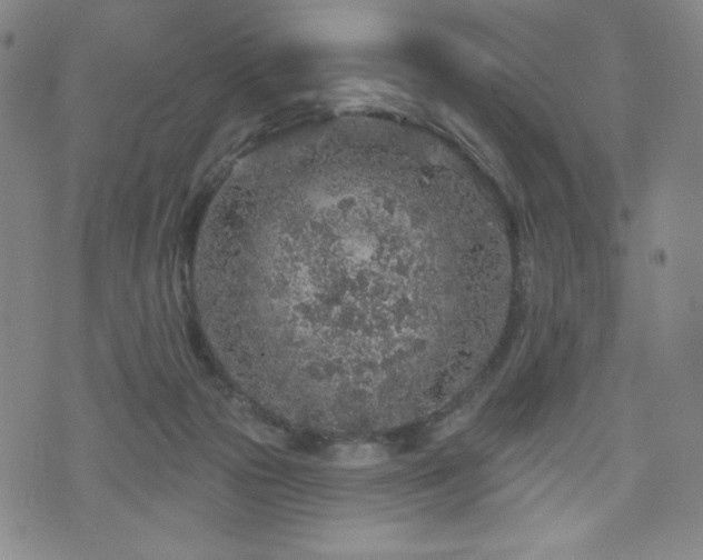 X0000071850169200606301346