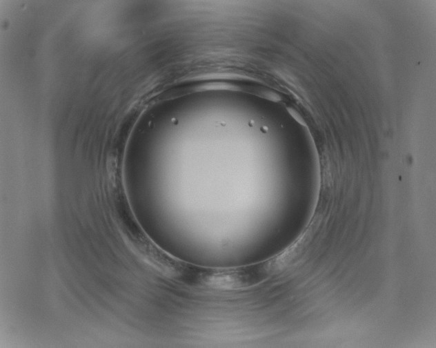 X0000071850171200606301346