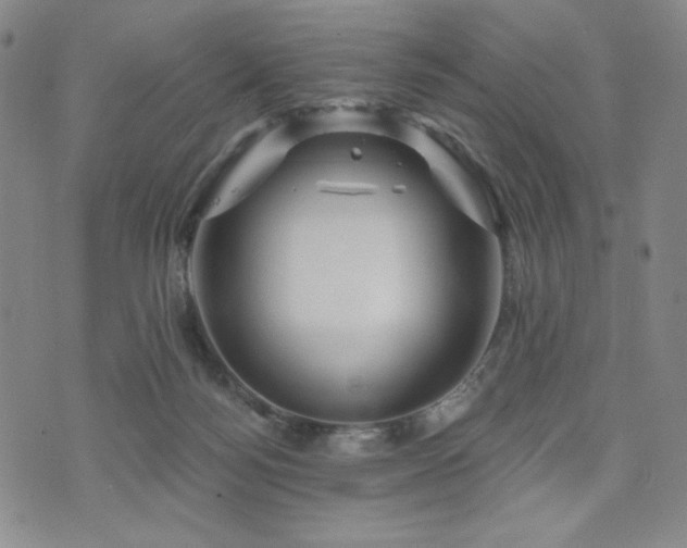 X0000071850172200606301346