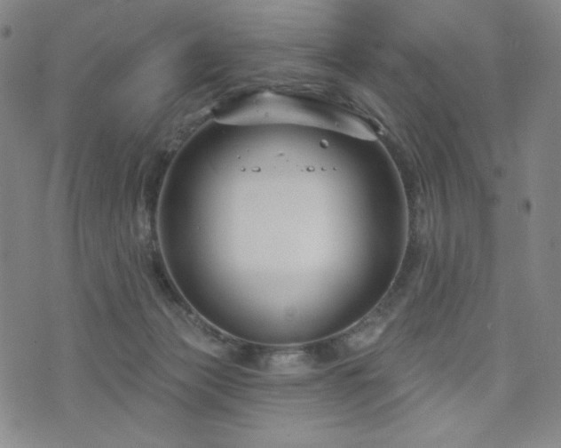 X0000071850173200606301346