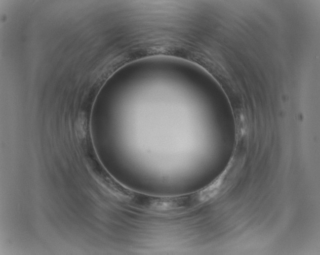 X0000071850174200606301346