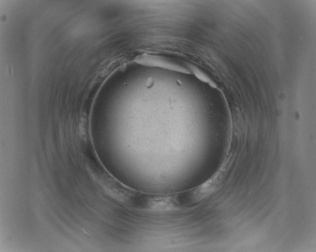 X0000071850175200606301346