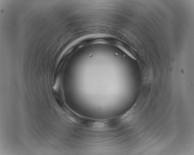 X0000071850176200606301346