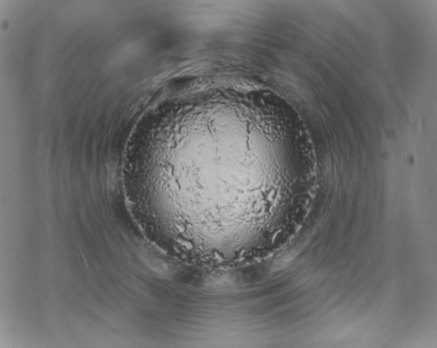 X0000071850177200606301346