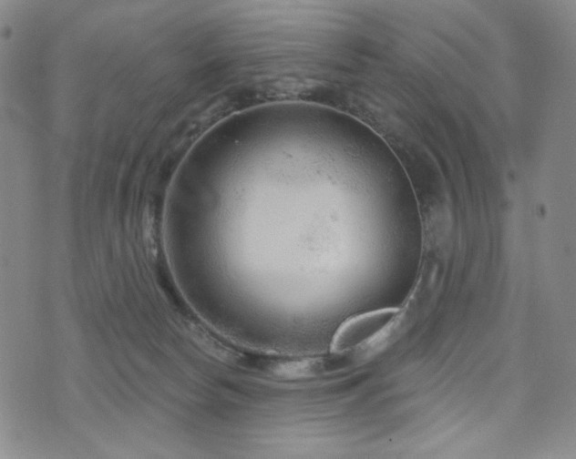 X0000071850178200606301346