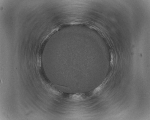 X0000071850180200606301346