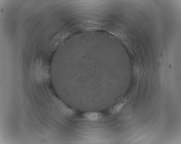 X0000071850181200606301346