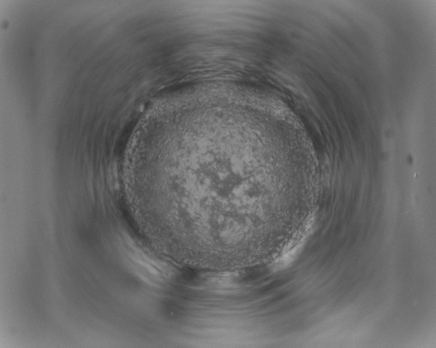 X0000071850182200606301346