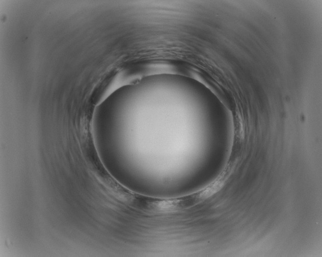 X0000071850184200606301346