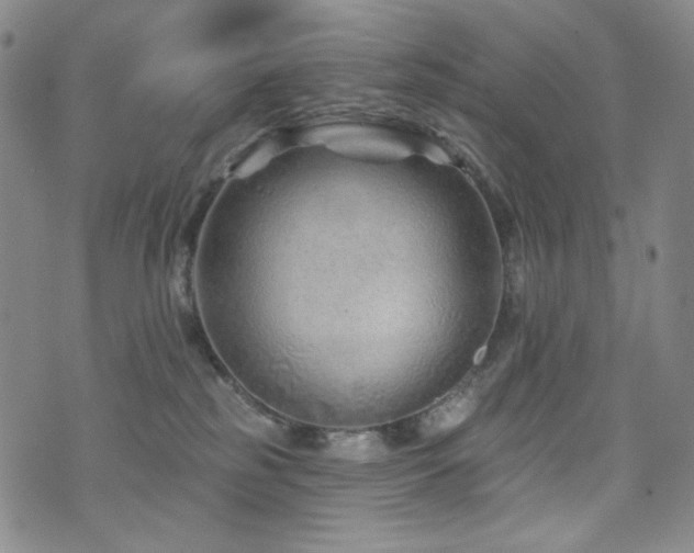 X0000071850185200606301346