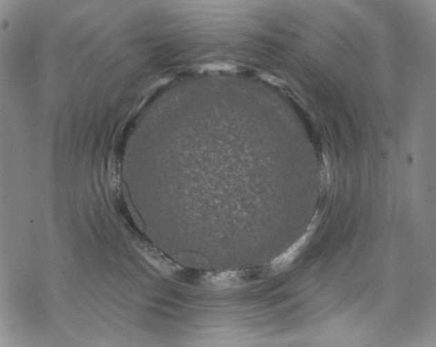 X0000071850186200606301346