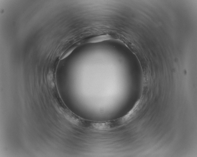 X0000071850187200606301346