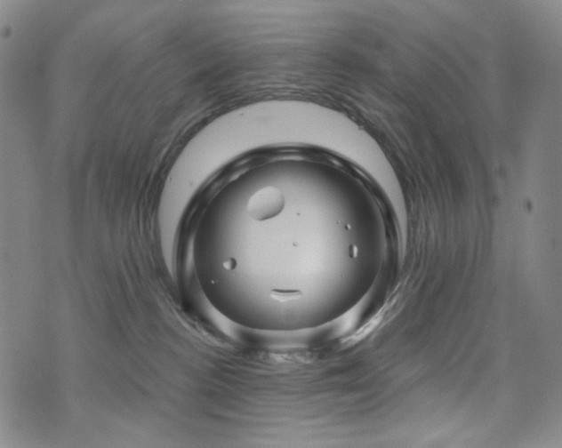 X0000071850188200606301346