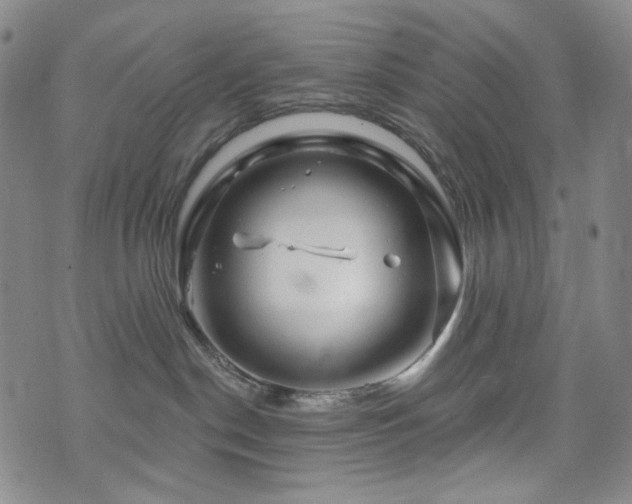 X0000071850190200606301346