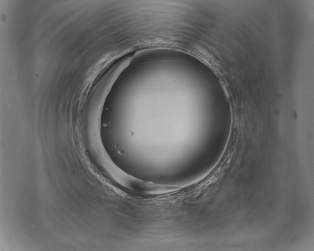 X0000071850193200606301346