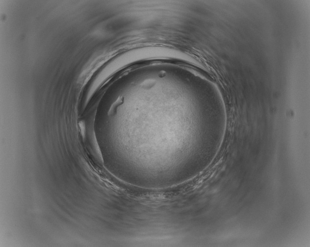 X0000071850194200606301346