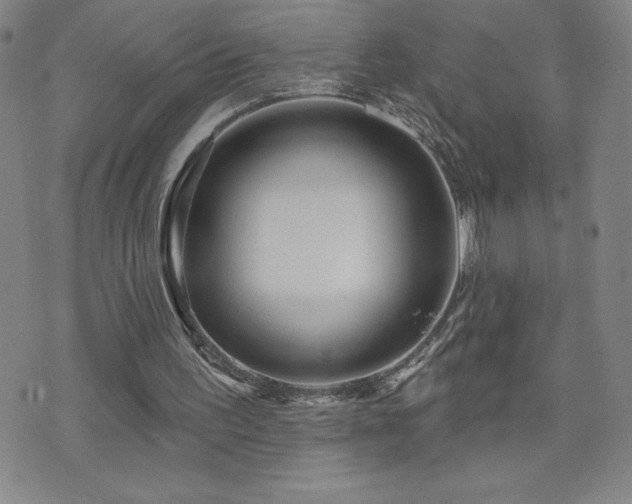 X0000071850195200606301346