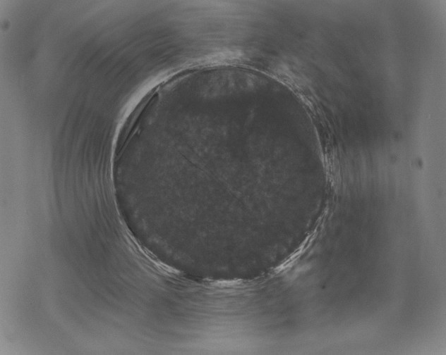 X0000071850196200606301346