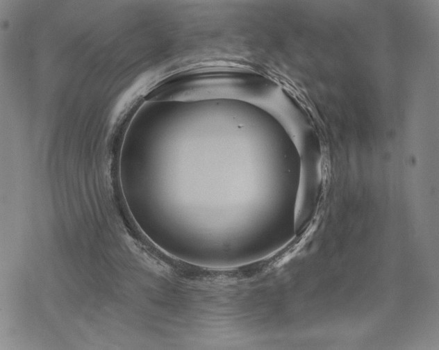 X0000071850197200606301345