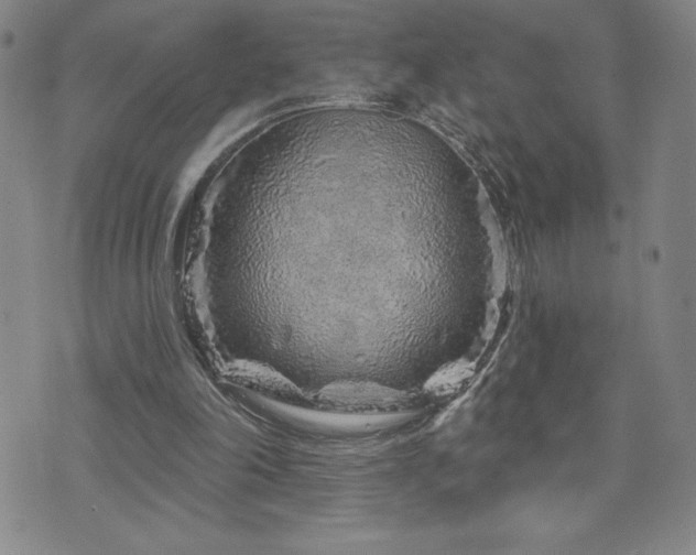 X0000071850198200606301345